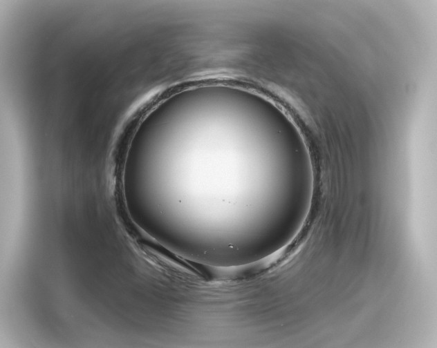 X0000116161406200911301552