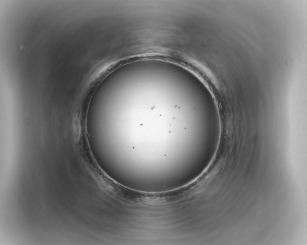 X0000116161407200911301552