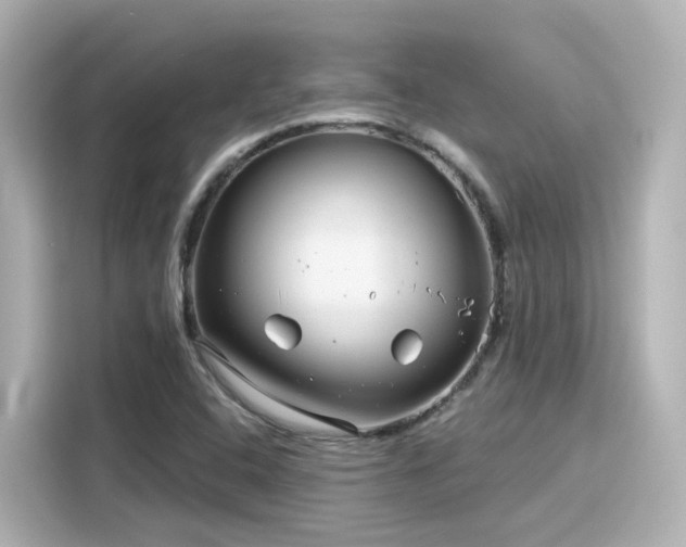 X0000116161408200911301552