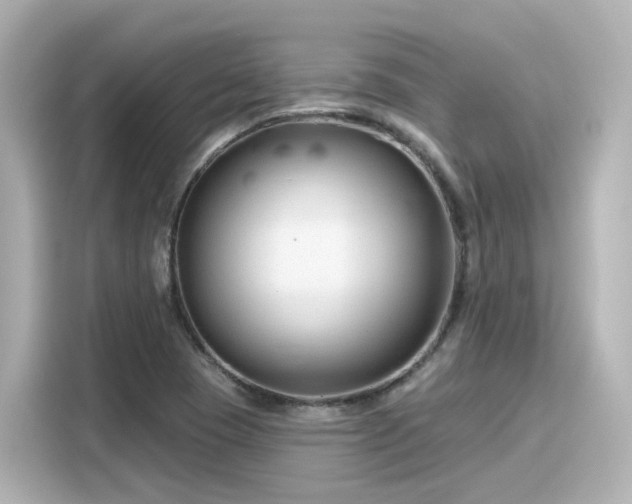 X0000116161409200911301552