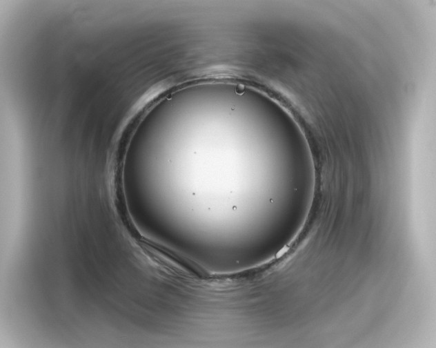 X0000116161410200911301552