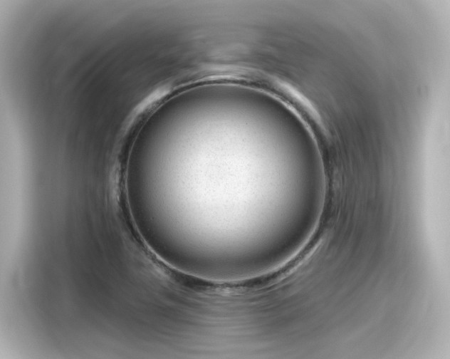 X0000116161411200911301552