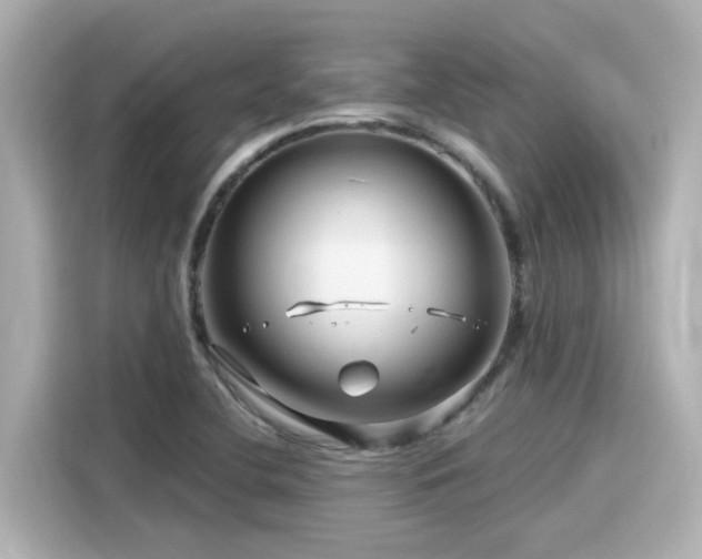 X0000116161412200911301552