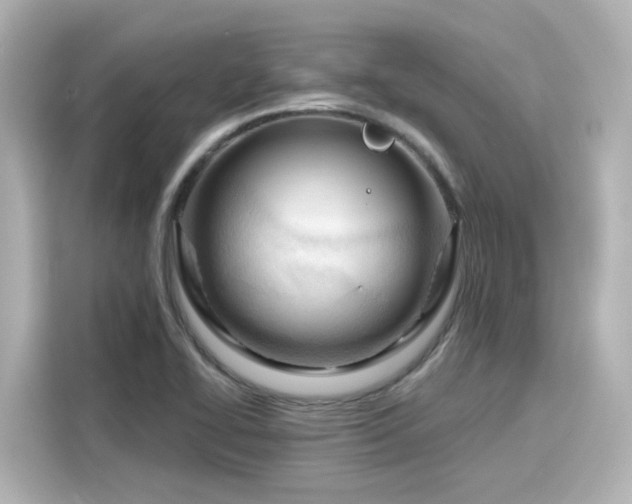 X0000116161414200911301552