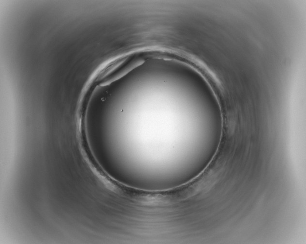 X0000116161416200911301552