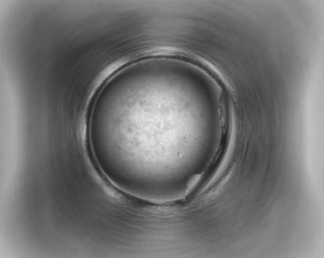 X0000116161418200911301552