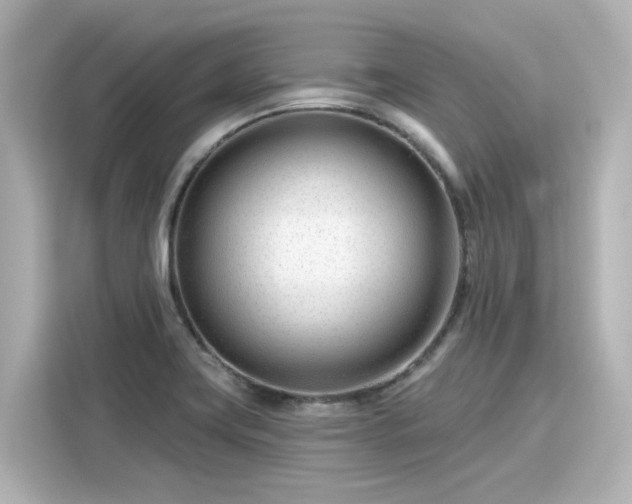 X0000116161419200911301552