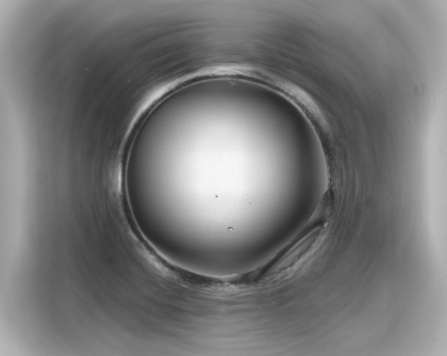 X0000116161420200911301552