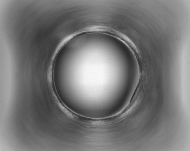 X0000116161421200911301552