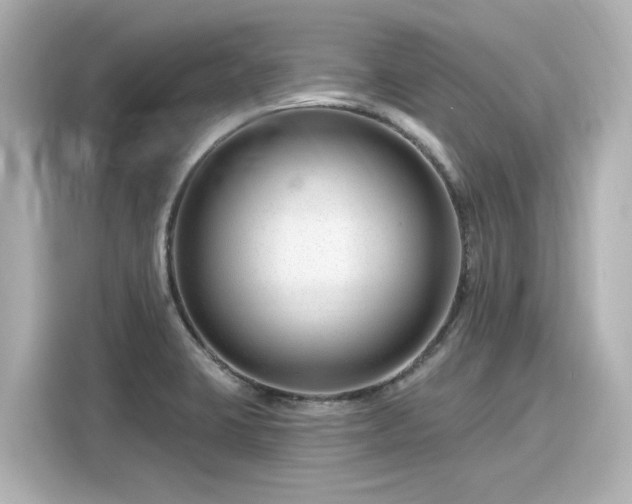 X0000116161423200911301552