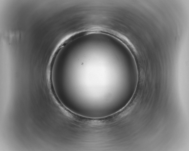 X0000116161424200911301552