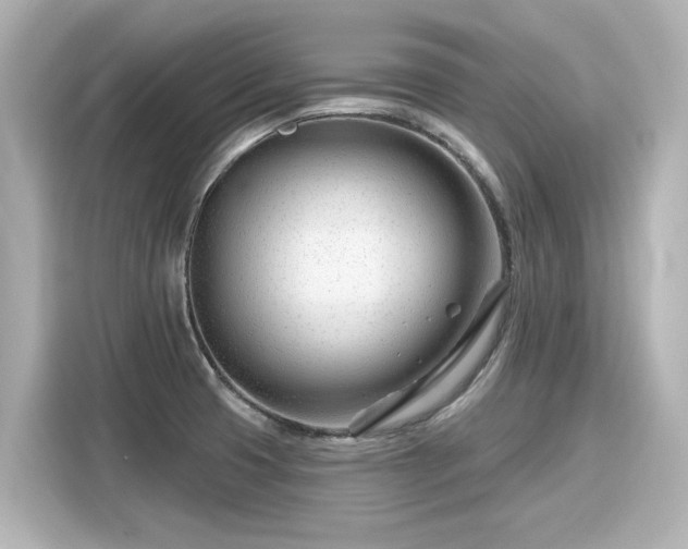 X0000116161425200911301552