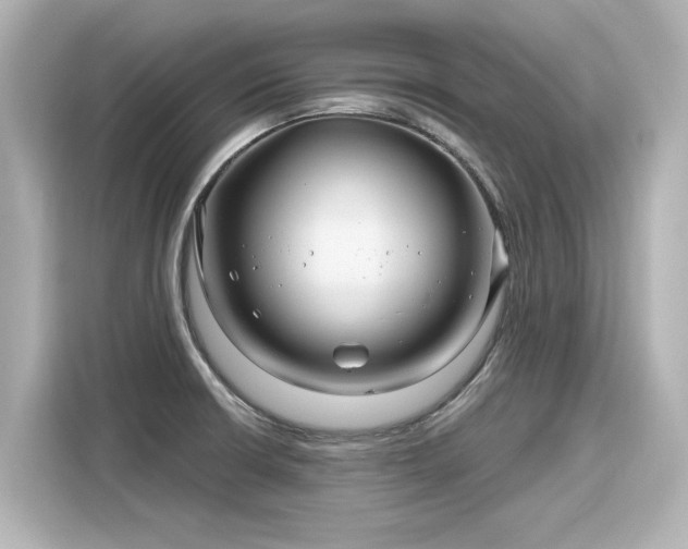 X0000116161426200911301552