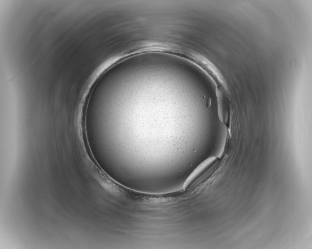 X0000116161427200911301552