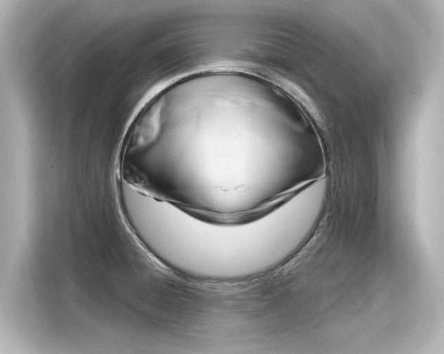 X0000116161428200911301552