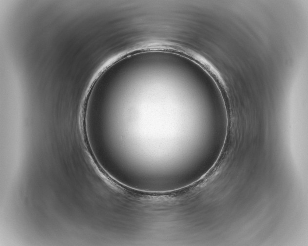 X0000116161429200911301552