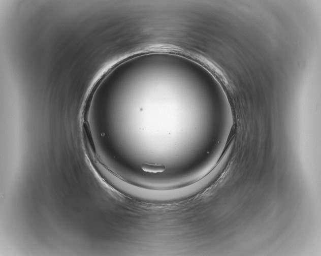 X0000116161430200911301552