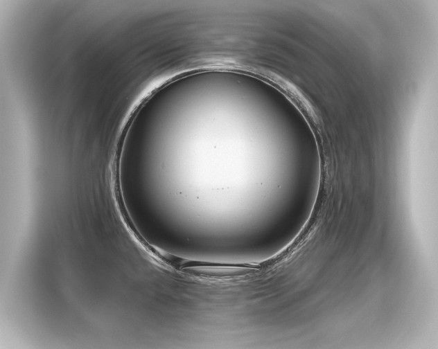 X0000116161432200911301552