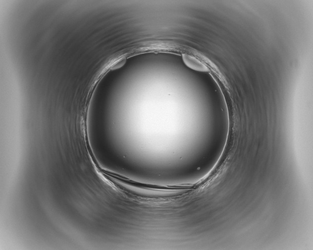 X0000116161433200911301552