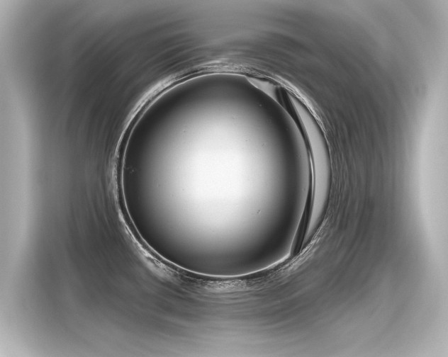 X0000116161434200911301552