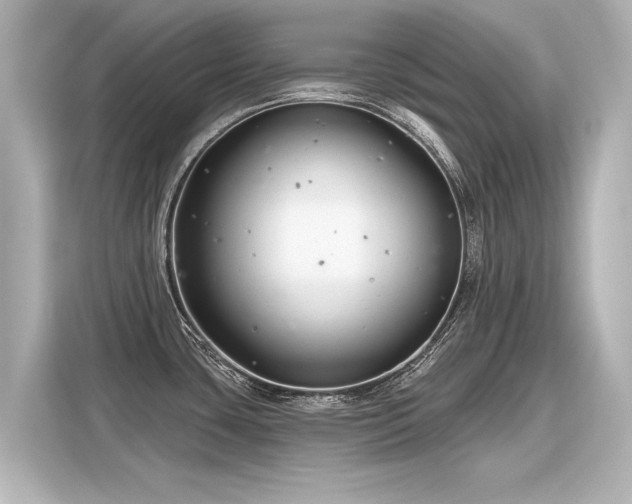 X0000116161435200911301552