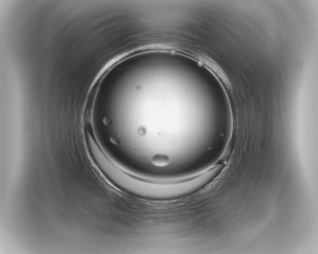 X0000116161436200911301552