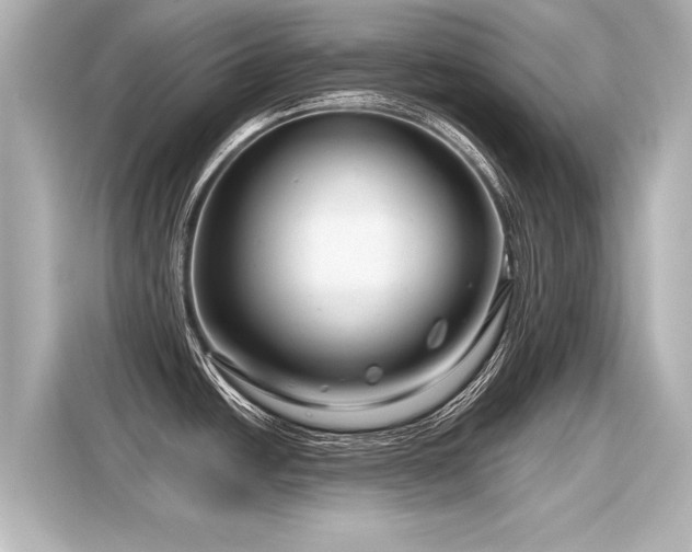 X0000116161438200911301552