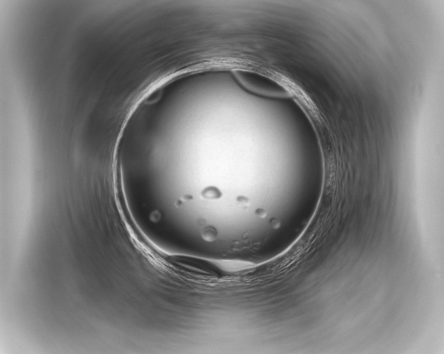 X0000116161439200911301552