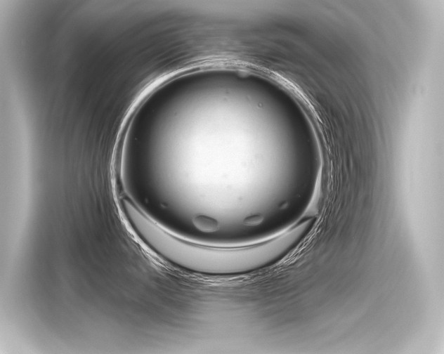 X0000116161440200911301552