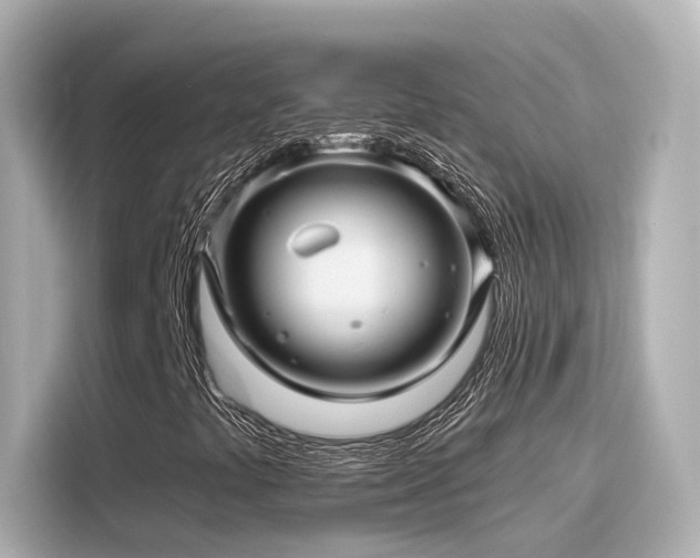 X0000116161441200911301551