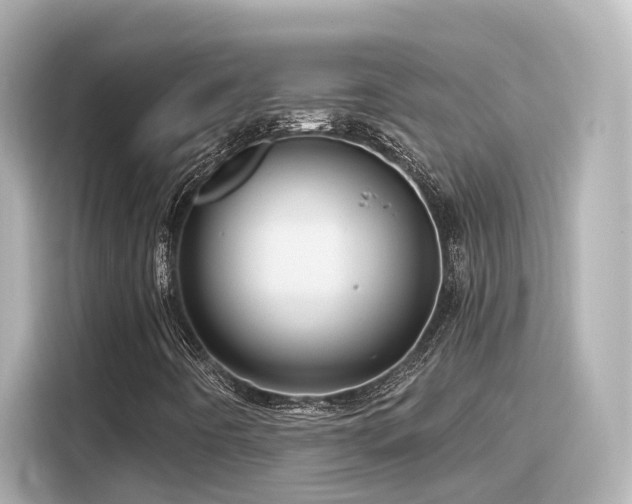 X0000116161442200911301551