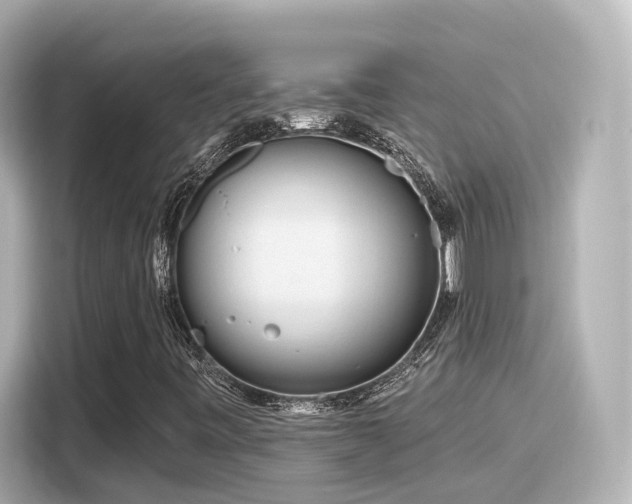 X0000116161443200911301551