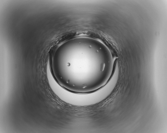 X0000116161445200911301551