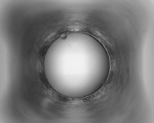 X0000116161446200911301551