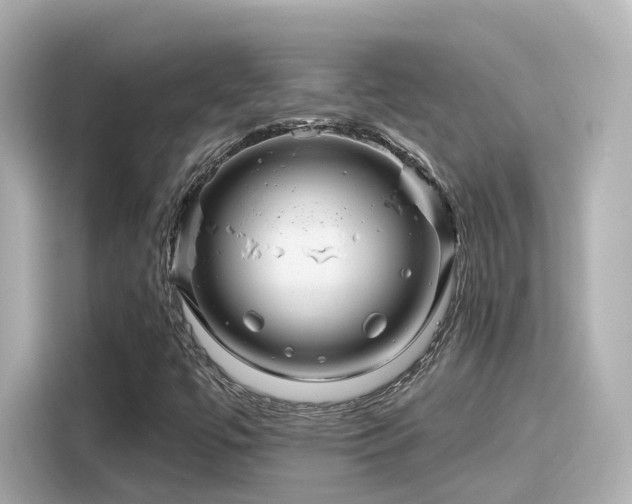 X0000116161447200911301551