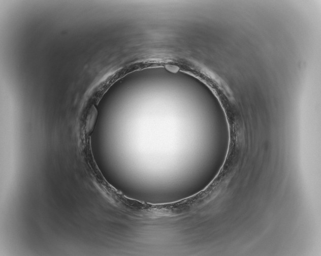 X0000116161448200911301551