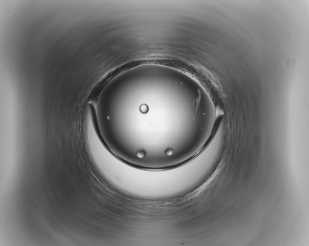 X0000116161449200911301551