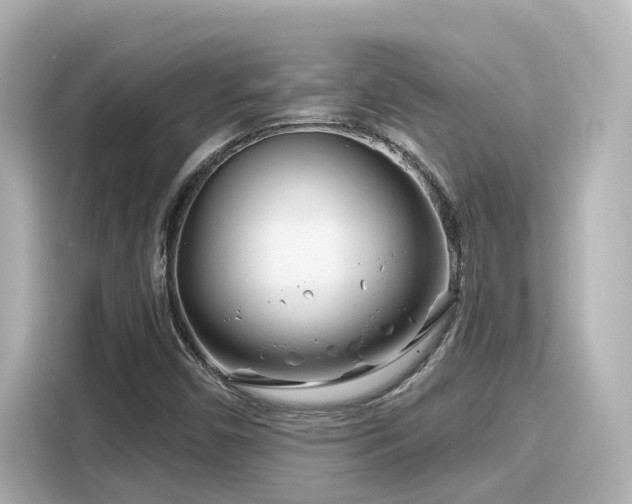 X0000116161450200911301551