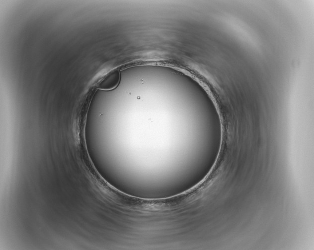 X0000116161451200911301551