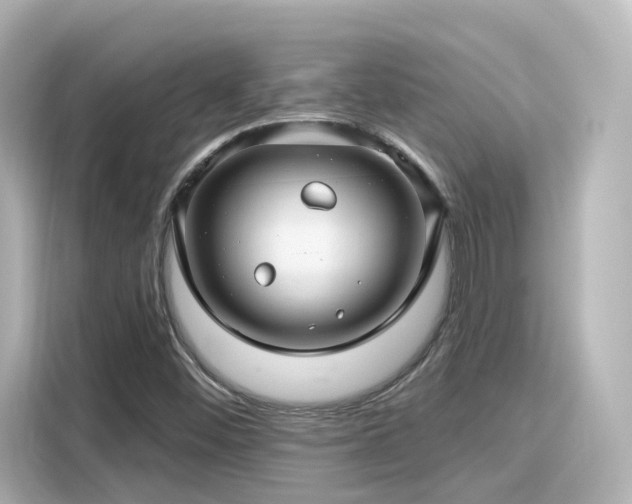 X0000116161452200911301551