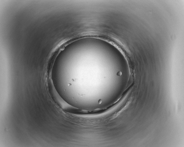 X0000116161453200911301551