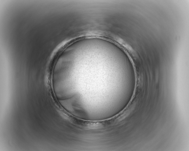 X0000116161454200911301551