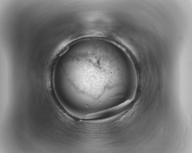 X0000116161455200911301551