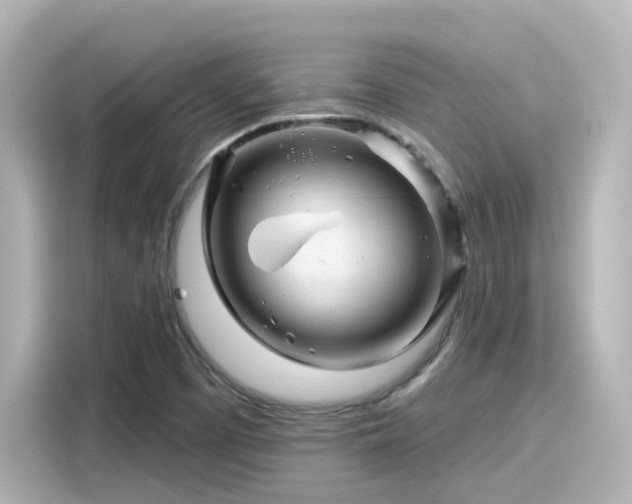 X0000116161457200911301551