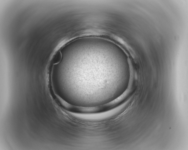 X0000116161459200911301551