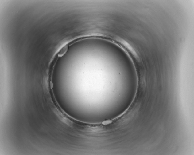 X0000116161460200911301551