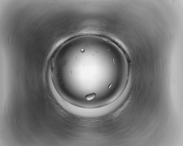 X0000116161461200911301551