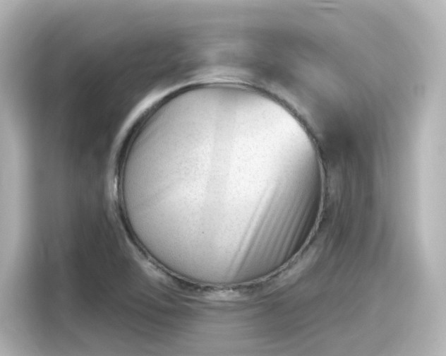 X0000116161462200911301551