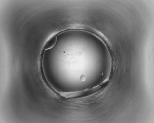 X0000116161463200911301551