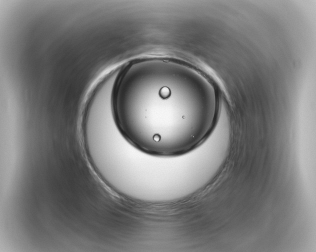 X0000116161464200911301551